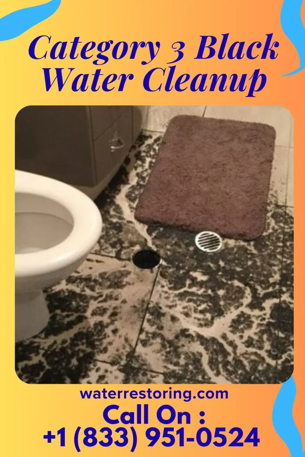 Category 3 Black Water Cleanup in Ruch, OR