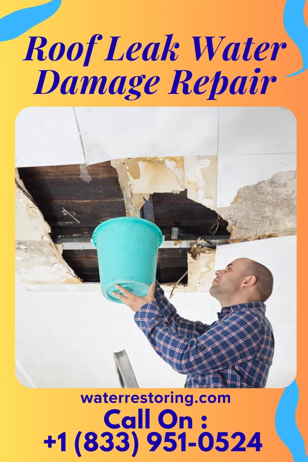 Roof Leak Water Damage Repair in Ruch, OR
